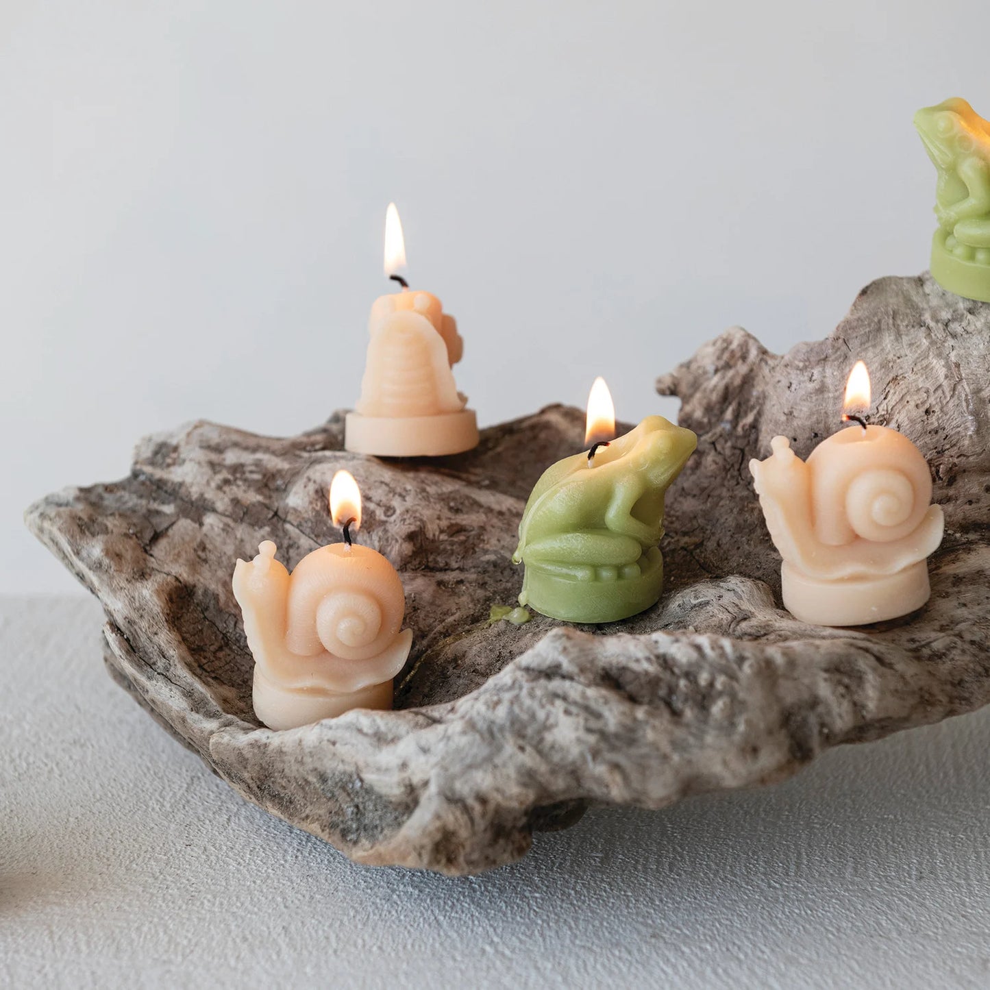 Unscented Tealights in Box